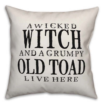Creative Products A Wicked Witch And Grumpy Toad 16x16 Indoor / Outdoor Pillow 3 Creative Products A Wicked Witch And Grumpy Toad 16x16 Indoor / Outdoor Pillow - Image 3