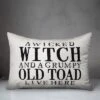 Creative Products A Wicked Witch And Grumpy Toad 14x20 Indoor / Outdoor Pillow