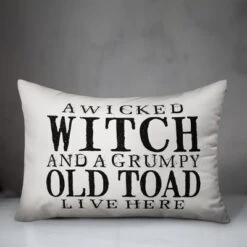 Creative Products A Wicked Witch And Grumpy Toad 14x20 Indoor / Outdoor Pillow
