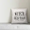 Creative Products A Wicked Witch And Grumpy Toad 18x18 Indoor / Outdoor Pillow